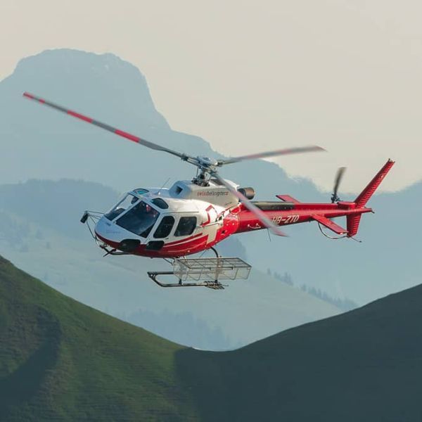 Probelektion mit H125 Ecureuil