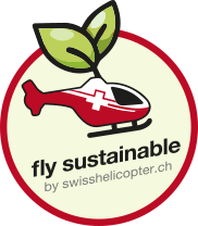fly sustainable